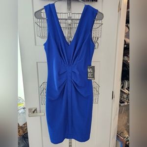 Express bodycon dress